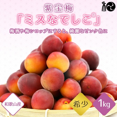 【2025年分先行予約】紫宝梅『ミスなでしこ(R)』【青梅:1kg】【ngm009】