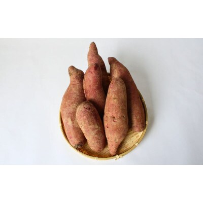 【2025年分予約】ふくむらさき (紫さつまいも)　3.5kg 【ngm011-2】