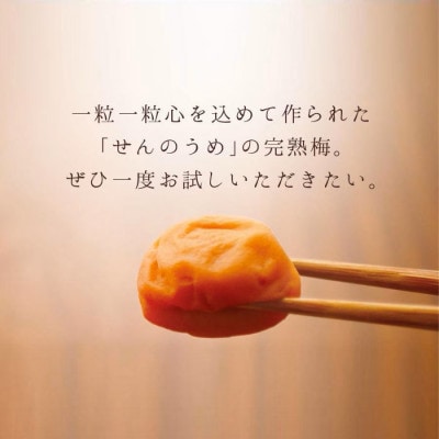 【A級品】紀州南高梅 しそ梅 1kg 塩分12% 【spo002-2】