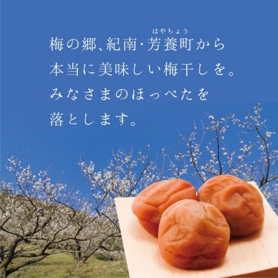 うす塩 【A級品】紀州南高梅 文左(ぶんざ) 1kg 塩分9% 減塩梅干し 【spo005-2】