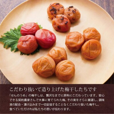 【A級品】紀州南高梅 はちみつ梅 500g 塩分7%【spo006】