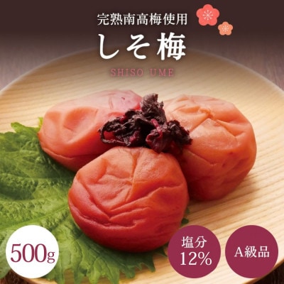 【A級品】紀州南高梅 しそ梅 500g 塩分12% 【spo007】