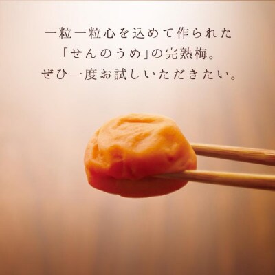 【A級品】紀州南高梅 田舎梅 500g 塩分10% ご飯のお供【spo008】