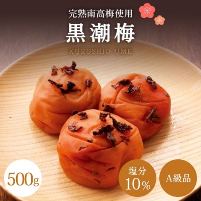 【A級品】紀州南高梅 黒潮梅 500g 塩分10% 【spo009】