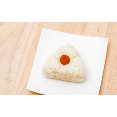 紀州南高梅セット 村っ子梅・梅フレッシュ 各1.1kg×2(計2.2kg)【fuz002-1】