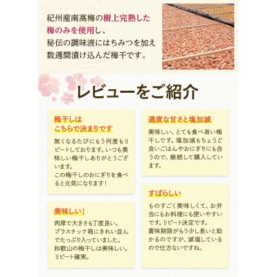 紀州南高梅　村っ子梅(塩分約8%)1.1kg ×2 はちみつ梅干し 【fuz012-1】