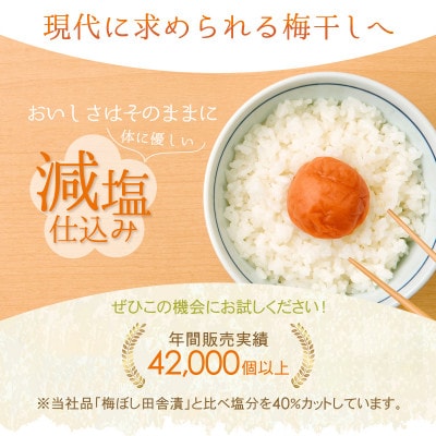 紀州産南高梅 梅ぼし田舎漬 減塩仕込み(塩分6%)400g  【nkt011-1】