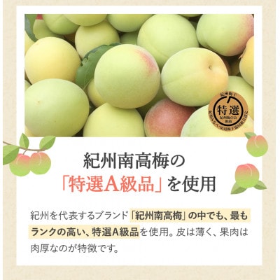 紀州南高梅 はちみつ梅干し (塩分8%)計720g(180g×4個) 【ske001-2】