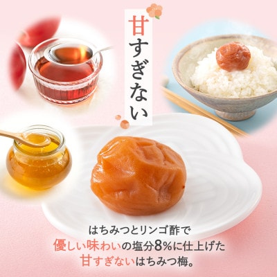 紀州南高梅 はちみつ梅干し (塩分8%)計720g(180g×4個) 【ske001-2】