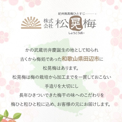 紀州南高梅  700g (塩分13%)紫蘇梅干し 【ske009-1】