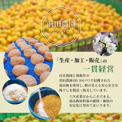 紀州南高梅 はちみつ梅(塩分8%) 1kg×1パック 【mae001-2】
