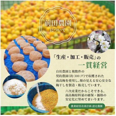 たっぷり浸かったしそ漬け梅 1kg×1パック 塩分10% 南高梅 【mae003-2】