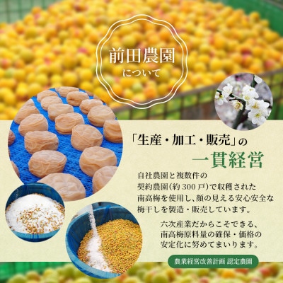 はちみつ梅(塩分8%) 200g×1パック 南高梅 【mae006】