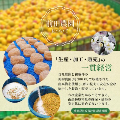 たっぷり浸かったしそ漬け梅 200g×1パック 塩分10% 【mae007】