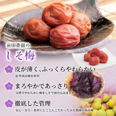 しそ漬け梅 & はちみつ漬け 食べ比べセット 各400g 南高梅【mae005】