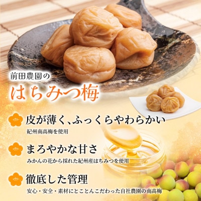 しそ漬け梅 & はちみつ漬け 食べ比べセット 各400g 南高梅【mae005】