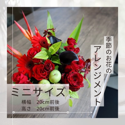 季節のお花のアレンジメント/ミニサイズ～花瓶不要!届いてそのまま飾れるフラワーアレンジ