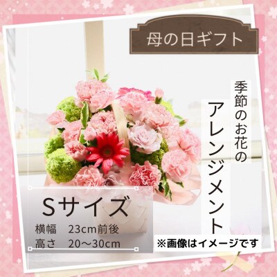 【母の日】季節のお花のアレンジメントSサイズ～花瓶不要!届いてそのまま飾れるフラワーアレンジ