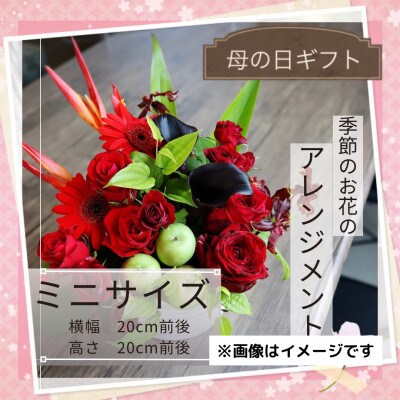 【母の日】季節のお花のアレンジメント/ミニサイズ～花瓶不要!届いてそのまま飾れるフラワーアレンジ