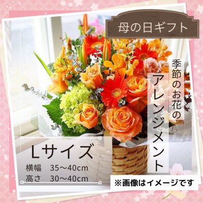 【母の日】季節のお花のアレンジメントLサイズ～花瓶不要!届いてそのまま飾れるフラワーアレンジ
