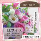 【母の日】季節のお花のアレンジメントLLサイズ～花瓶不要!届いてそのまま飾れるフラワーアレンジ