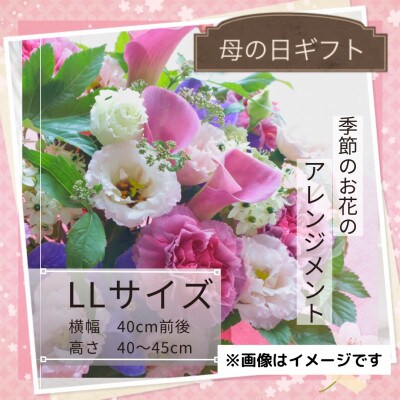 【母の日】季節のお花のアレンジメントLLサイズ～花瓶不要!届いてそのまま飾れるフラワーアレンジ