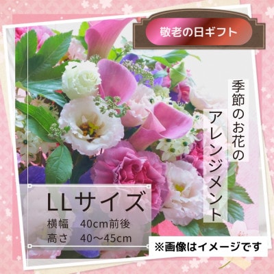 【敬老の日】季節のお花のアレンジメントLLサイズ～花瓶不要!届いてそのまま飾れるフラワーアレンジ