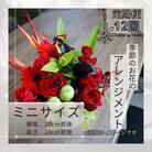 【毎月定期便】季節のお花のアレンジメント/ミニサイズ～届いてそのまま飾れるフラワーアレンジ全12回