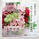 【毎月定期便】癒しのフラワーセラピーブーケ【花瓶用】/Lサイズ全12回