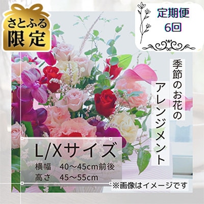 【毎月定期便】【さとふる限定】季節のお花のアレンジメントL/Xサイズ全6回