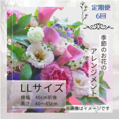 【毎月定期便】季節のお花のアレンジメントLLサイズ～届いてそのまま飾れるフラワーアレンジ全6回