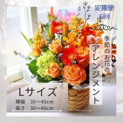 【毎月定期便】季節のお花のアレンジメントLサイズ～届いてそのまま飾れるフラワーアレンジ全6回
