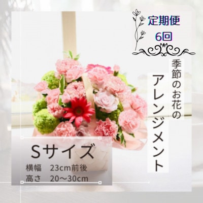 【毎月定期便】季節のお花のアレンジメントSサイズ～届いてそのまま飾れるフラワーアレンジ全6回
