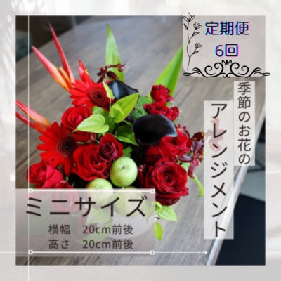 【毎月定期便】季節のお花のアレンジメント/ミニサイズ～届いてそのまま飾れるフラワーアレンジ全6回