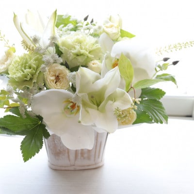 【毎月定期便】季節のお花のアレンジメント/ミニサイズ～届いてそのまま飾れるフラワーアレンジ全6回