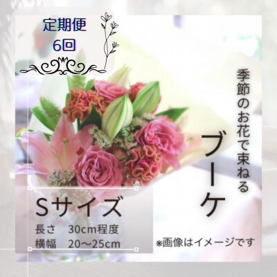 【毎月定期便】季節のお花で束ねたブーケ【花瓶用】/Sサイズ全6回