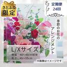 【2週間毎定期便】【さとふる限定】季節のお花のアレンジメントL/Xサイズ全24回