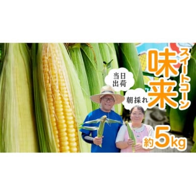 朝採り!スイートコーン「味来」 約5kg(12本～13本程度)