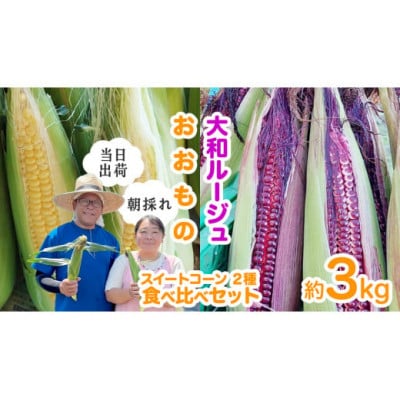 朝採り! スイートコーン2種「大和ルージュ」・「おおもの」食べ比べセット　計約3kg(約7本程度)