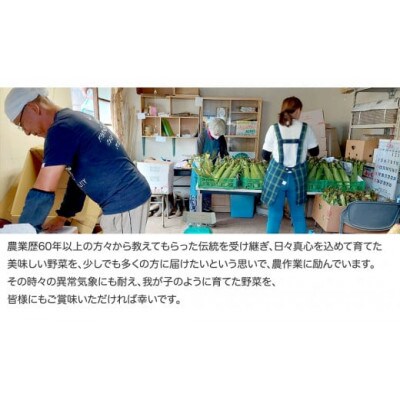 朝採り! スイートコーン2種「大和ルージュ」・「おおもの」食べ比べセット　計約3kg(約7本程度)