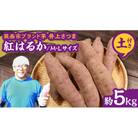 【井上さつま】「紅はるか」M・Lサイズ　さつまいも　約5kg (土付き)