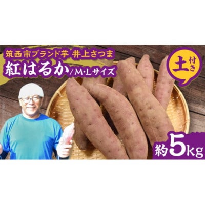 【井上さつま】「紅はるか」M・Lサイズ　さつまいも　約5kg (土付き)