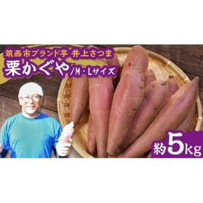 【井上さつま/茨城県特別栽培農産物】「栗かぐや」M・Lサイズ　さつまいも　約5kg(土なし)
