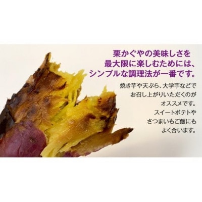 【井上さつま/茨城県特別栽培農産物認証】「栗かぐや」M・Lサイズ　さつまいも　約5kg(土付き)