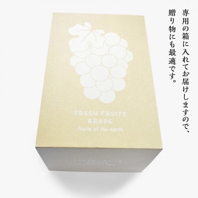 茨城県筑西市産 ハウス栽培シャインマスカット 1房(約700～800g)