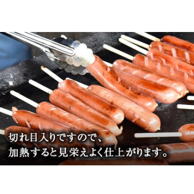 日本ハム 業務用 フランクフルト 60本セット(10本×6袋) 切れ目入り・串付き