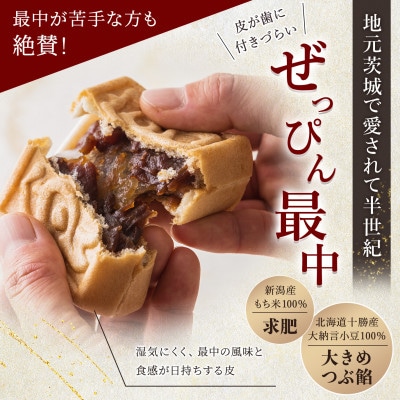 もち入り「館最中」6個入