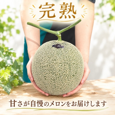 アールスメロン 3玉 完熟メロン 大玉 茨城県 kek003