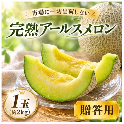 アールスメロン 1玉 完熟メロン 大玉 茨城県 kek062