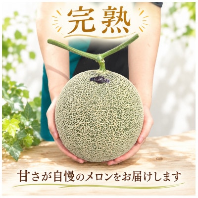 アールスメロン 1玉 完熟メロン 大玉 茨城県 kek062